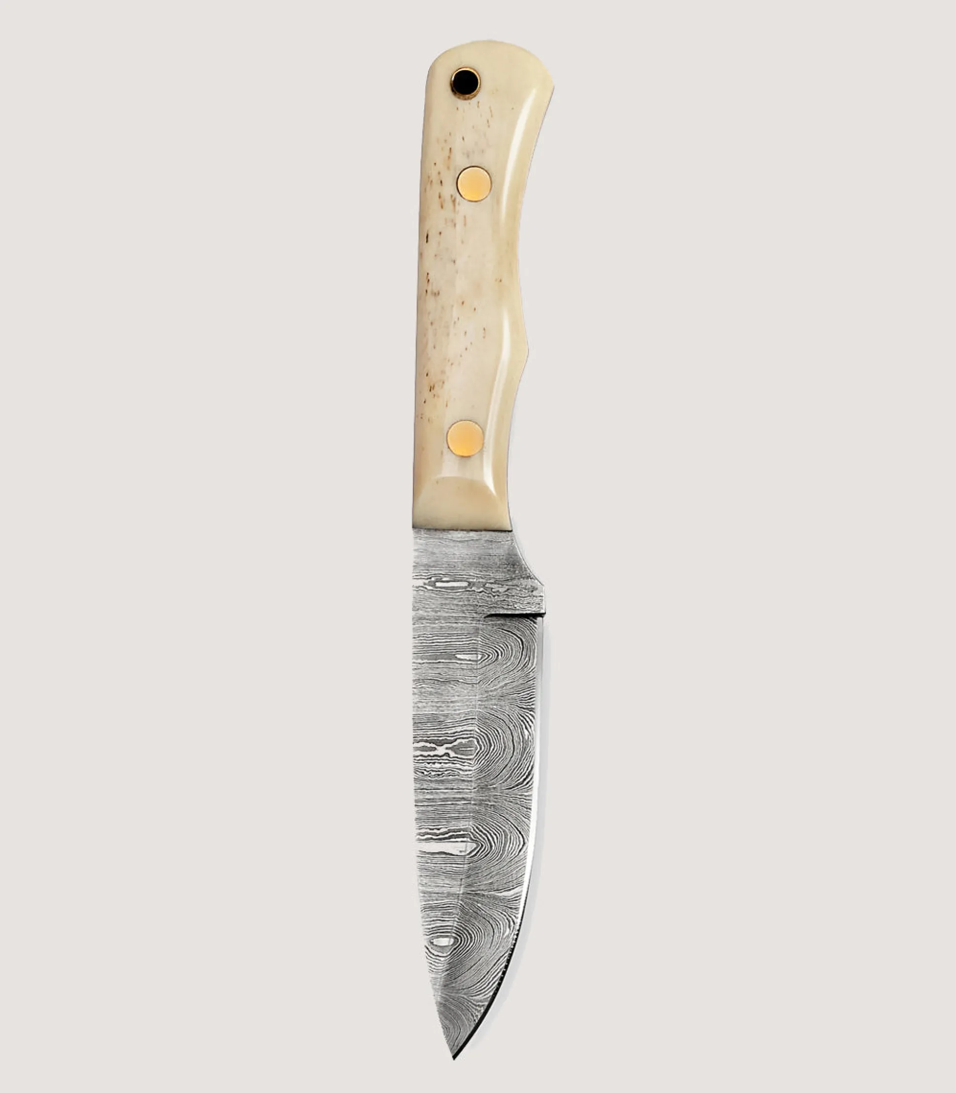 Damascus Hunting Knife In Camel Bone